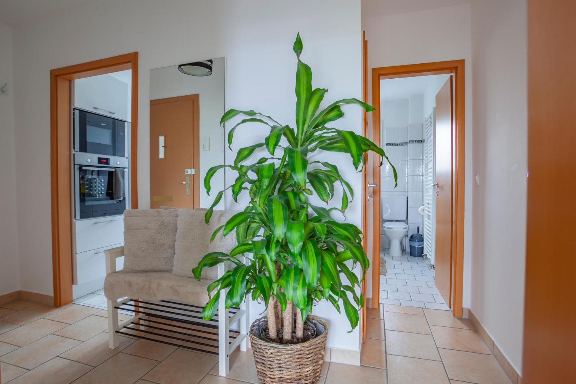 Exclusive 2-Room-City-Apartment - Contactless Check-In 汉诺威 外观 照片
